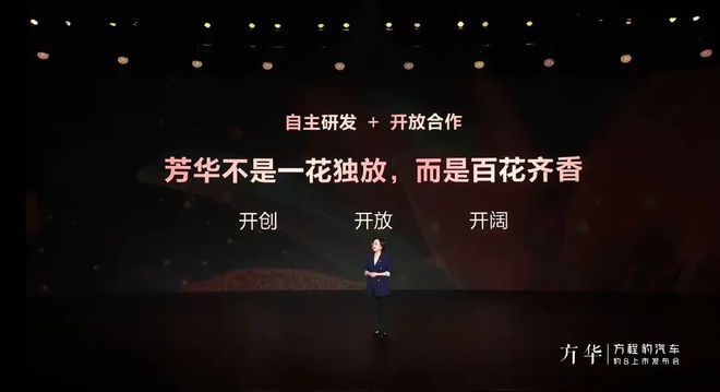 比亚迪智驾两手抓：左手全栈自研右手智驾平权(图10)