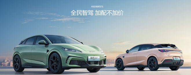 准备好你的钱包了吗？比亚迪海洋网11款智驾版谁最值得入手？(图6)