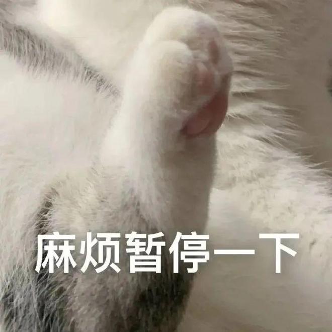 智驾真凉了？小米更名、余承东改口！车企集体叫“辅助驾驶”……(图7)