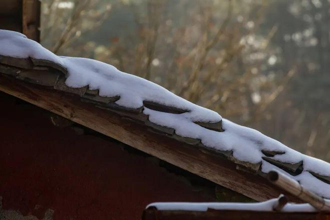 大兴安岭最后20公里他等了5年(图4)