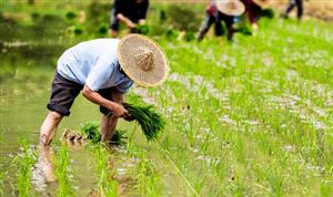 2023智能驾驶市场现状及前景分析(图3)